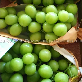 green grape 3.png
