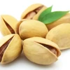 /product-detail/organic-turkish-dried-pistachio-nuts-62007132878.html