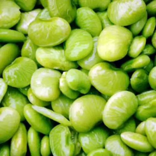 High Quality Frozen Fresh Broad Beans