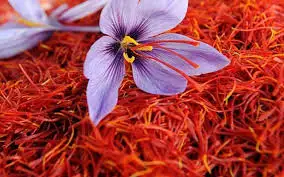 SAFFRON 7.jpg