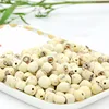 /product-detail/vietnam-white-lotus-seed-good-quality-for-export-50045457912.html
