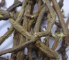 /product-detail/licorice-roots-dried-in-raw-form-62009113129.html