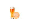 USA Craft Beer World Peach Cobbler Ale 12oz. Cans