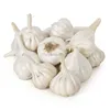 /product-detail/new-season-fresh-india-garlic-for-export-50028589807.html