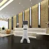 Intelligent Autonomous Telepresence Robot with interractive speech SIFROBOT-2.0_LS, For Hotel with 1000m Navigation area