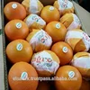 /product-detail/navel-orange-valencia-orange-baladi-orange-50023986843.html