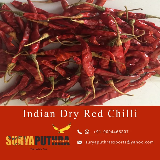 high quality hot spicy indian dry red chilli with reasonable