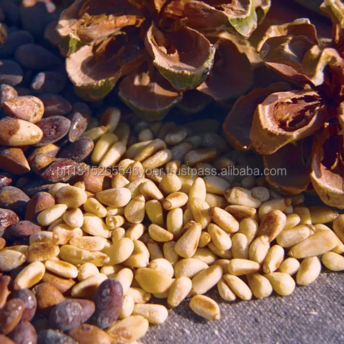 pine nuts for sale