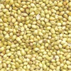 /product-detail/high-quality-delicious-healthy-coriander-seeds-exporters-in-india-to-united-arab-emirates-pakistan-singapore-sri-lanka-50037470204.html