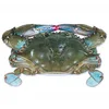Quality Soft Shell Crab/Live Mud Crab/Frozen Soft shell Crab Box