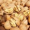 Whole Walnuts in Shell Hot Selling in Turkey