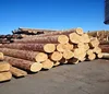 Low price construction wood Pine, Spruce and Red Meranti Sawn Timber logs