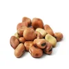 Dried Broad Beans Fava Beans With Best Price