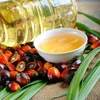 /product-detail/shortening-vegetable-fat-palm-oil-wholesale-price-62006897962.html