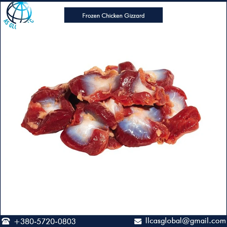 frozen chicken gizzard at wholesale price