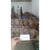 Highest Quality and Enormous Quantity of Beef Omasum and Buffalo Omasum Available