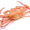 RUSSIAN KING CRAB, FROZEN BOILED KING RED CRAB, PRECOOKED FROZEN KING RED CRAB