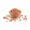 Red peanut,blanched peanut kernels,Bold Peanuts Blanched Peanuts Java Peanuts Raw Peanuts Kernel / Raw Peanut in Shell