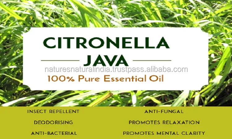 citronella oil java used for mosquito repellent