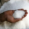 Brazil and Thailand sugar/raw /refined /white crystal sugar and white soft sugar all types available buy now