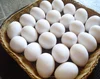 /product-detail/white-sell-chicken-egg-50036933381.html