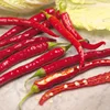 /product-detail/best-quality-chili-seeds-pepper-seeds-fresh-chili-seeds-62001848542.html