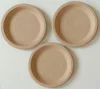 10 inch 24 GM+- Biodegradable & Compostable Plate