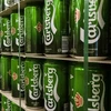 wholesale Carlsberg Beer Available In Cans & Bottles