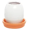 Creative design ceramic egg shape planters with tray