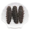 /product-detail/cheap-dried-sea-cucumber-sandfish-for-sale-dried-sea-cucumber-62008885312.html