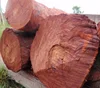 /product-detail/european-sandalwood-logs-and-timber-for-sale-50045313965.html