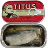 /product-detail/canned-sardine-fish-in-vegetable-oil-62000820864.html