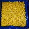 /product-detail/iqf-best-wholesaler-of-diced-mango-frozen-from-india-62007180988.html