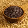 /product-detail/highest-grade-organic-black-mustard-seeds-60426035174.html
