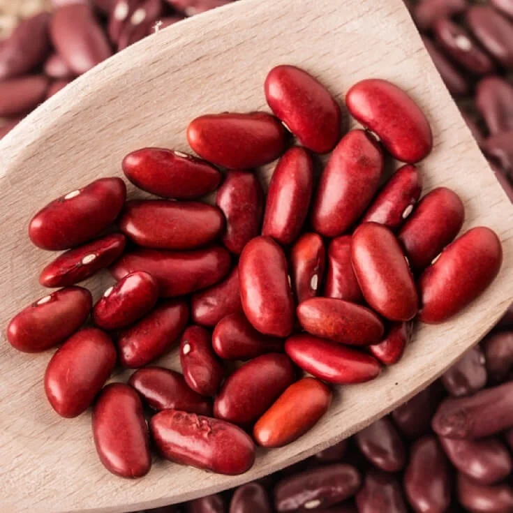 New Crop Red Kidney Beans British red kidney baens
