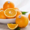 /product-detail/export-oranges-of-fresh-orange-prices-62002013932.html