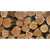 Quality Spruce Wood Logs