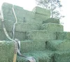 /product-detail/20kg-25kg-bales-alfalfa-hay-alfalfa-pellets-alfalfa-cube-50046024612.html