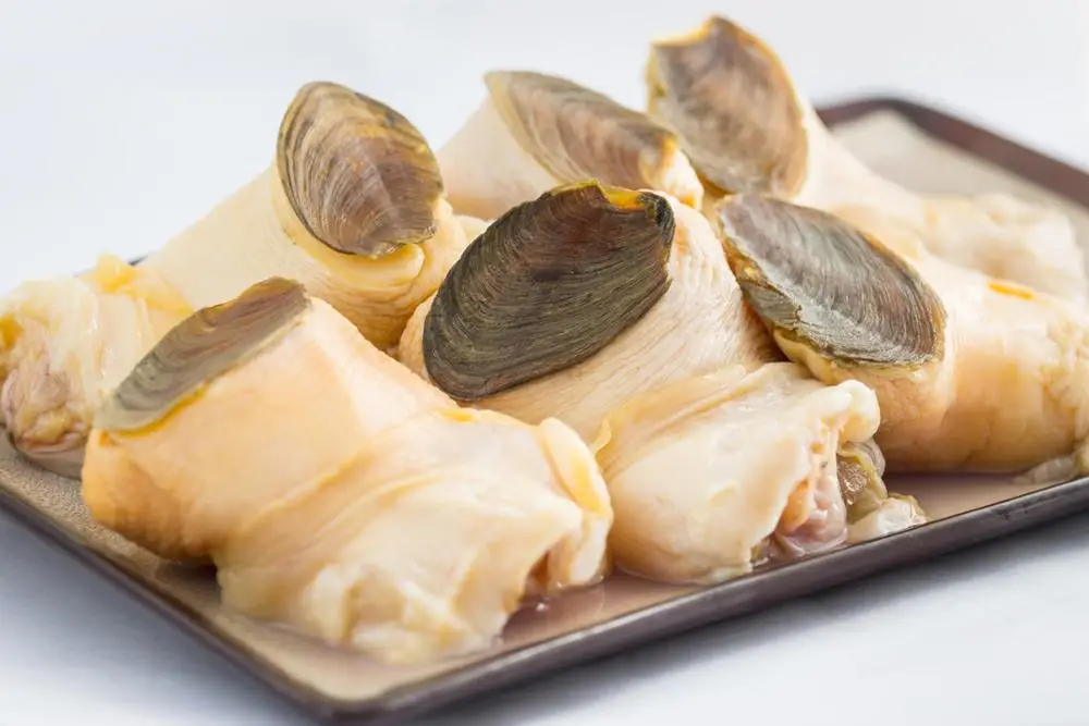 Conch Meat (usa) Buy Conch,Frozen Conch Product on