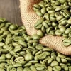 Green Coffee Bean Arabic with Good Price
