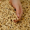 /product-detail/large-quantity-factory-price-tons-wood-pellets-50046020105.html