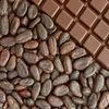 /product-detail/wholesale-high-quality-cocoa-beans-62003415412.html