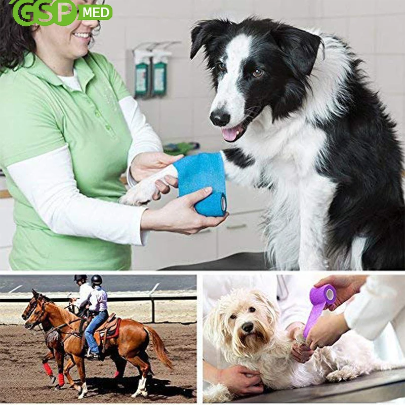 GSPMED High Quality cohesive elastic bandage Vet Wrap bandage self-adhesive Bandage Factory