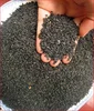 /product-detail/natural-black-sesame-seeds-for-sale-62012691620.html