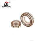 SPRING ENERGIZED ptfe lip rotary shaft seal