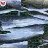 FISH SKIN AND SCALES FOR GELATIN - COLLAGEN EXTRACTION// PANGASIUS HYPOPHTHALMUS (JENNY +84 905 926 612)