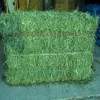 /product-detail/best-quality-rhodes-grass-hay-and-alfalfa-hay-62010773780.html