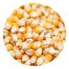 /product-detail/russian-corn-maize-for-animal-feed-62013747277.html