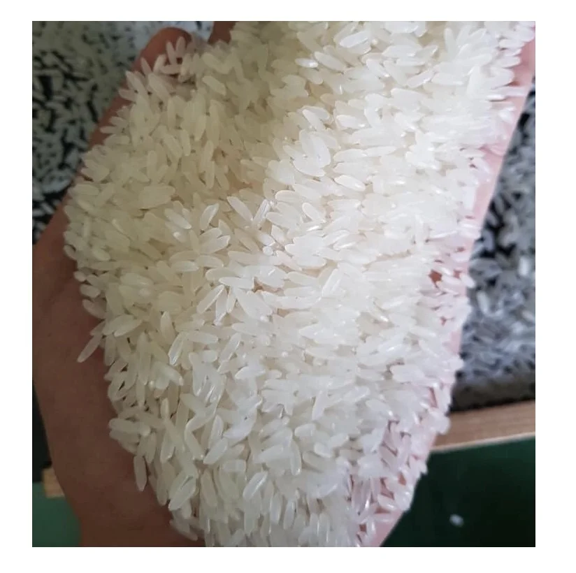 كمبوديا أرز الياسمين معالجتها بواسطة فيتنام مصنع-ال WHATSAPP + 84765149122