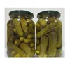 High quality pickled cucumber in Vietnam/Pickled cucumber in drum - Pickled Cucumber in glass jar( 00841203970669 WS Jenny)